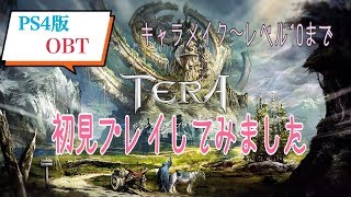 【PS4】オープンβテスト TERA 初見プレイ ~キャラ作成からLV10まで~