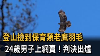 撿保育類老鷹羽毛上網賣 24歲男子挨罰4萬－民視新聞