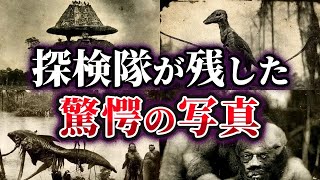 【ゆっくり解説】実在した異世界⁉忽然と消えたイギリスの探検家が残した驚愕の写真