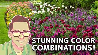 Color Your Garden: Tips for a Stunning Flower Bed!