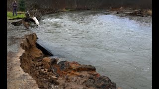 Pioneer Park In Tumwater Slated For Riverbank Restoration Project