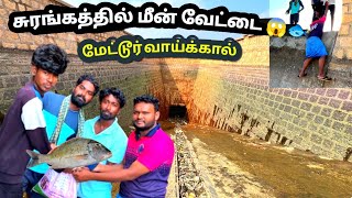 மேட்டூர் வாய்க்கால் சுரங்கத்தில் மீன் வேட்டை 🐟 | SURANGAM MEEN VETTAI | FISH HUNTING | TAMIL VIDEOS