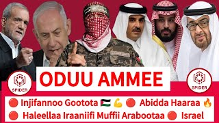 🔴 Oduu Ammee 🔴 Injifannoo Goototaa 💪 Haleellaa Iraaniifi Muffii Arabootaa