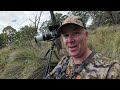 deer stalking in the fallow u0026 red deer rut 2024 part 3 self filmed rifle hunting australia