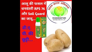 RPS 76 और Soil Guard का आलू(Potato) की फसल में जादूई रिजल्ट ...