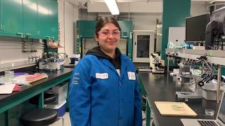 How to Properly Disinfect Your Lab Bench and Micrsocope