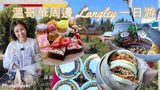 溫哥華周邊 Langley 一日游 採草莓 小洋房下午茶 “天堂”般的晚餐 Krauseberry farm Haven Tracycakes Bakery Langley tourism