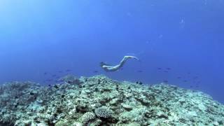 Tomoka Fukuda Freediving (Zamami Island)