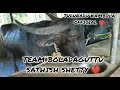 team boladaguttu sathish shetty ❤️ kambula savekambula beautyofkambula kambulafans