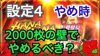 【やめ時が重要】プレミアムハナハナの設定4で差枚2000枚の壁に到達したら勝ち逃げするべきか？ハナ打ちの永遠のテーマに迫る！