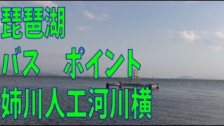 琵琶湖　バスポイント　姉川人工河川横