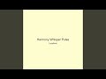 Harmony Whisper Pulse
