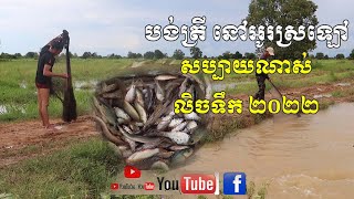 បង់ត្រីនៅអូរស្រឡៅ ទឹកលិចស្រែស្រូវ2022, Fishing in a stream near a rice field, the water is very high