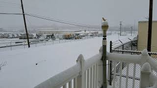 Epic Thunder Snow East Coast Blizzard