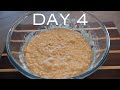 Super Active Sourdough Starter DONE WITHIN 4 DAYS WITH HONEY - EASY HOW TO