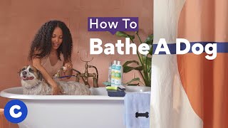 How To Bathe a Dog | Chewtorials