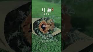 剑煮酒无味，饮一杯为谁？听过这首歌的人多半已婚。#胡彦斌 自带音效的唱腔谁都学不来，严重怀疑他不想唱第二次，所以才把#红颜 写得这么绝！