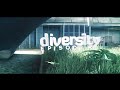 Diversity V2