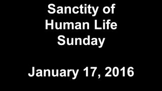 20160117 Sanctity of Human Life Sunday