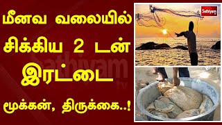 மீனவ வலையில் சிக்கிய 2 டன் இரட்டை மூக்கன், திருக்கை..!