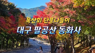 목산회 단풍나들이-대구 팔공산 동화사