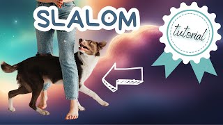 Ako naučiť psa SLALOM | tutoriál