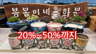 7월13일#봉봉이네화분#수제공방분#다육화분#20%~50%까지할인♡가성비 짱🤗🤗