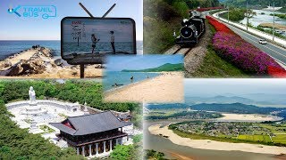 The Easiest Way to Discover Real Korea - K-Travel Bus