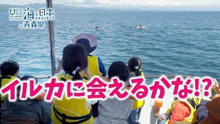 親子で陸奥湾のカマイルカを見に行こう！／親子でイルカウォッチング 日本財団 海と日本PROJECT in 青森県 2022 #03