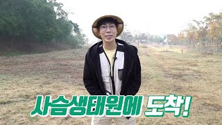 [국립생태원] 사슴생태원, 우리나라 토종 멸종위기 1급 산양 관찰