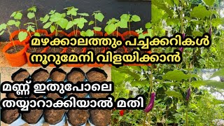 മഴക്കാലത്തും നൂറുമേനി വിളയിക്കാം. മണ്ണ് ഇങ്ങനെ തയ്യാറാക്കി നോക്കൂ/Best Soil Mix/My Tricks and Tips