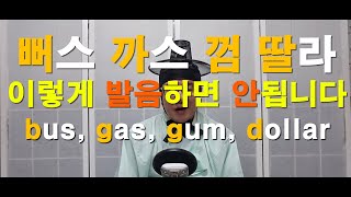 영어 기초단어 발음 교정 bus gas gum dollar