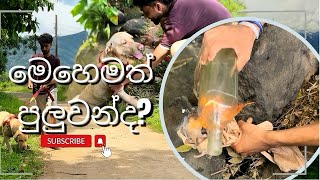 Can we cut glass bottles? අපිට වීදුරු බෝතල් කපන්න පුළුවන්ද?Wait for the output Sinhala Srilanka