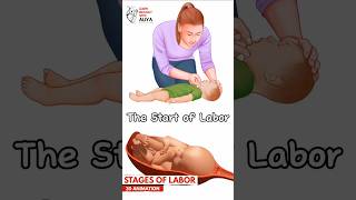 The Start of Labor | #animation #3d #short | Learn Biology with Aliya