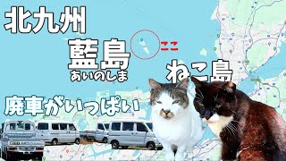 【離島探索】廃車と猫の島？北九州藍島