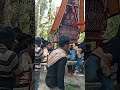 tradisi pemakaman unik orang toraja. jenazah dibawa diarak keliling kampung