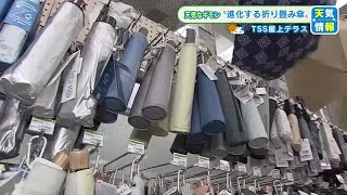 【風速15メートルに耐える進化系折り畳み傘】　人気は雨傘・日傘兼用タイプ…もはやメイン使いもアリなのか