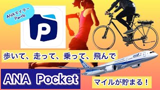 ANApocket アプリどんな移動手段でもポイント貯まってマイルに交換できる！ANAマイラー必見です！