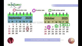 Fertile days October 2025- 32-day menstrual cycle