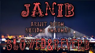 Janib | Slowed Reverb | Sunidhi C | Arijit Singh | Lofi Song | Full Song | Aaye jaaye dil teri janib