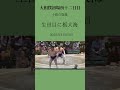 2025年大相撲初場所十二日目　十両　生田目に栃大海　相撲ファンの旅記録 相撲 二子山部屋 生田目