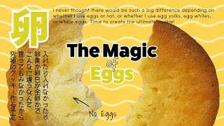 【The Ultimate Cookie】The Magic of Eggs