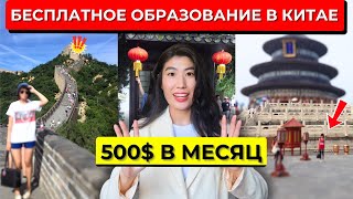 Как получать CТИПЕНДИЮ $500 в месяц и учиться в Китае БЕСПЛАТНО