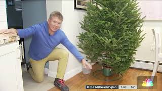 Use this Christmas tree watering trick | NBC4 Washington