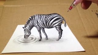 Trick Art, Zebra 3D Drawing