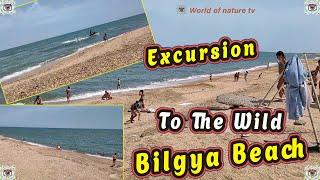 Excursion To The Wild Bilgya Beach (Baku, Azerbaijan) / Caspian Sea-Beach 2022 🌊🏊‍ World of nature 📸