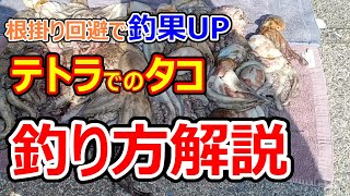 【解説】テトラでのタコ釣り。根掛り回避で釣果アップ。大阪湾のタコ釣り。