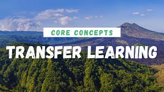 Transfer Learning In Computer Vision