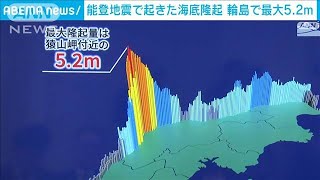 能登半島地震で起きた海底隆起　輪島で最大5.2mと判明　日本財団(2025年1月31日)