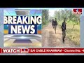 live ఛత్తీస్ గఢ్‎లో మరో భారీ ఎన్ కౌంటర్ chhattisgarh encounter hmtv